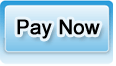 pay-now-button